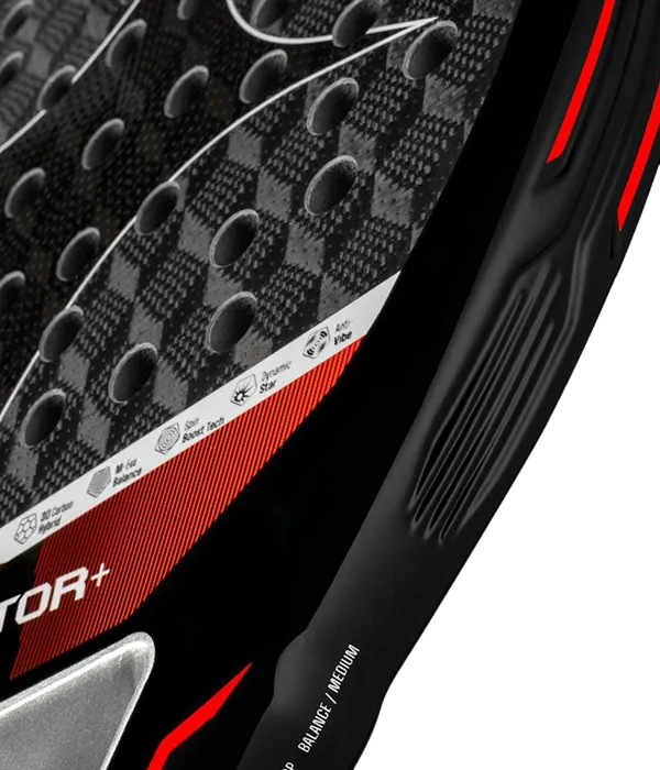 Pala de Test StarVie Raptor+ 2026 - Image 4