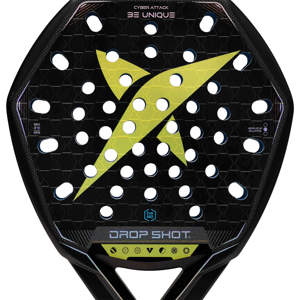 Pala Drop Shot Cyber Attack 2026 - Image 5