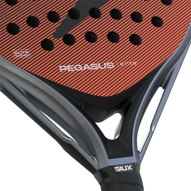 Pala Siux Pegasus Elite 4 2026 - Image 4